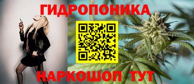 spice Комсомольск-на-Амуре