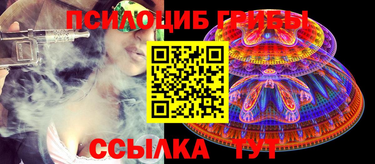 Псилоцибиновые грибы Cubensis Хасавюрт