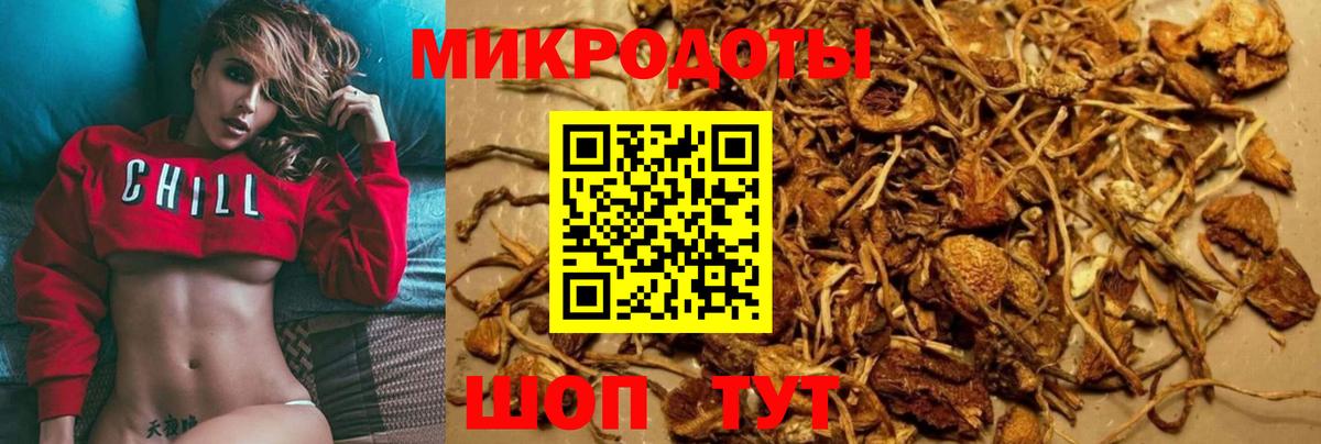 Хасавюрт  купить закладку  Вход с VPN  Псилоцибиновые грибы мицелий 